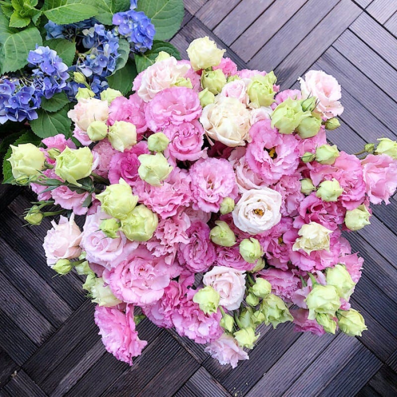 🔥Ostatni dzień wyprzedaży💝Eustoma Thornless Rose💐Lisianthus Seeds