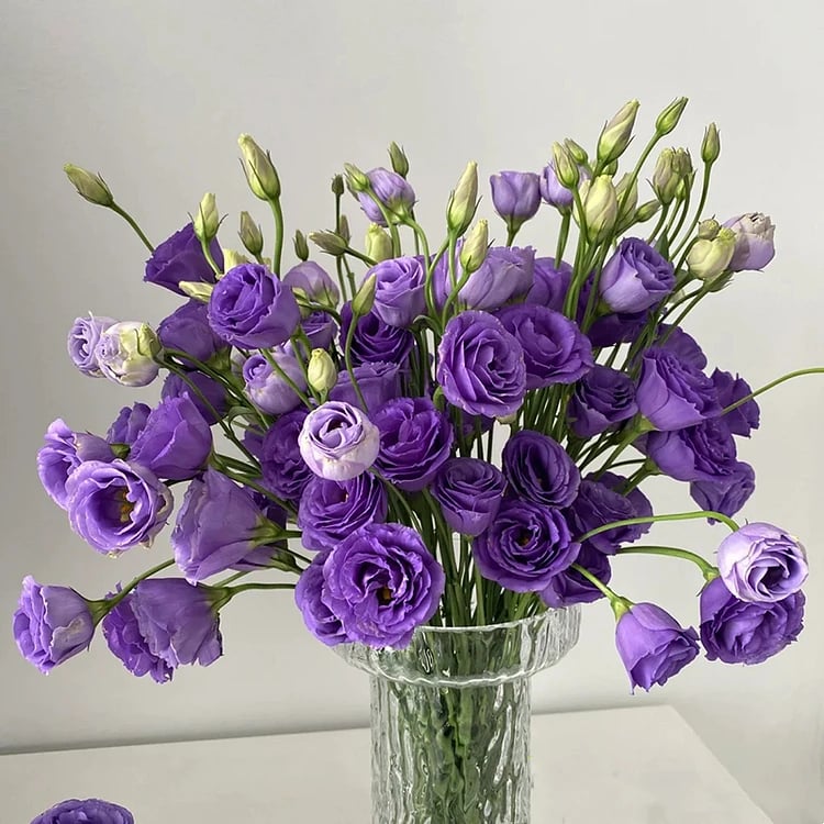 🔥Ostatni dzień wyprzedaży💝Eustoma Thornless Rose💐Lisianthus Seeds