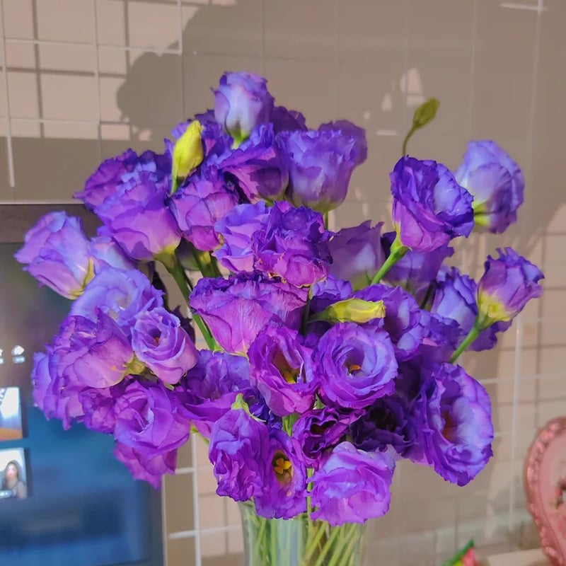 🔥Ostatni dzień wyprzedaży💝Eustoma Thornless Rose💐Lisianthus Seeds